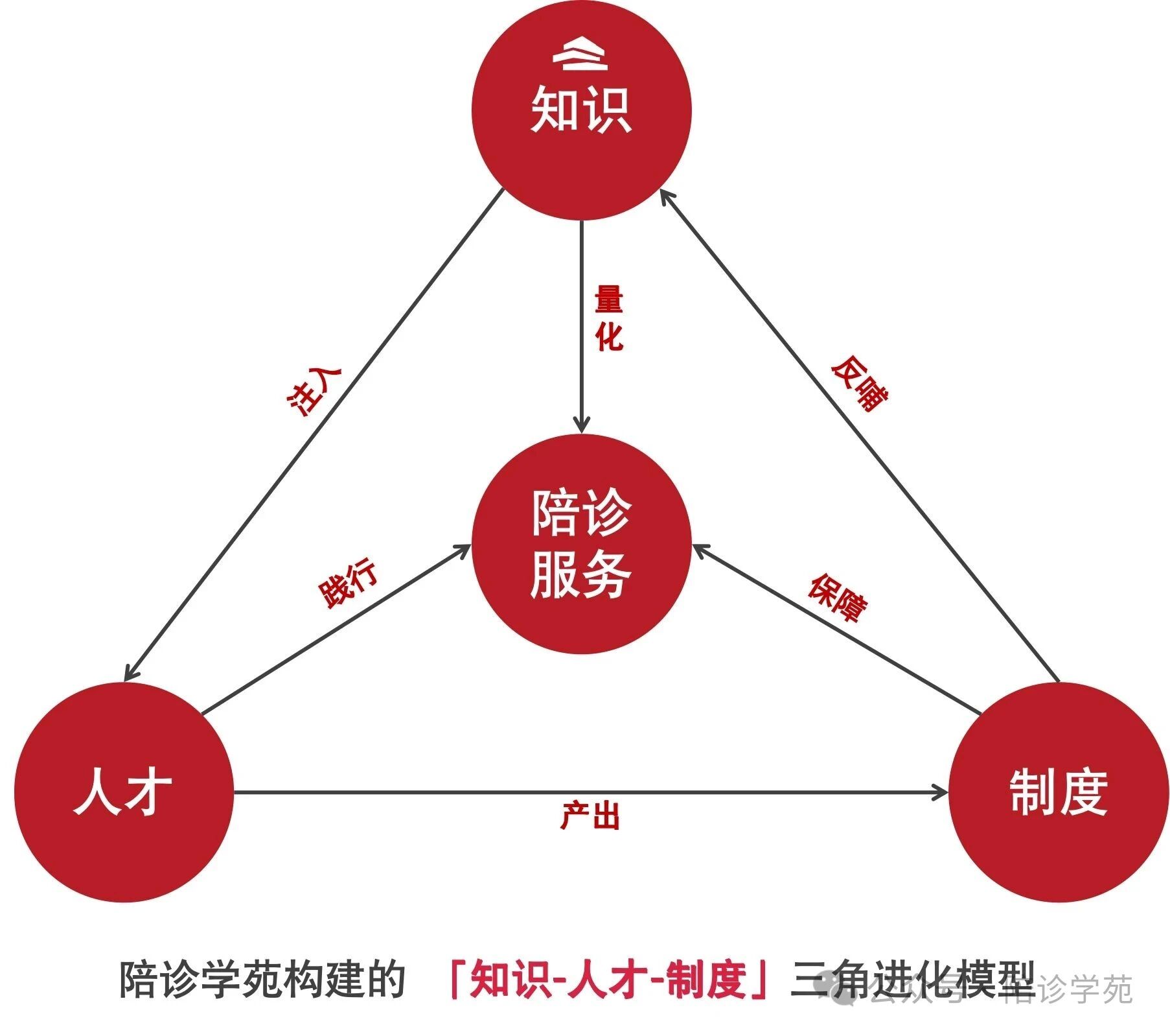 陪诊学苑三角进化模型
