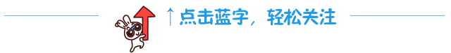 做“临时家人”有风险，如何给陪诊师稳稳的安全感？